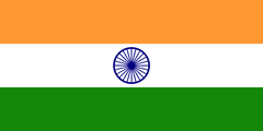in flag